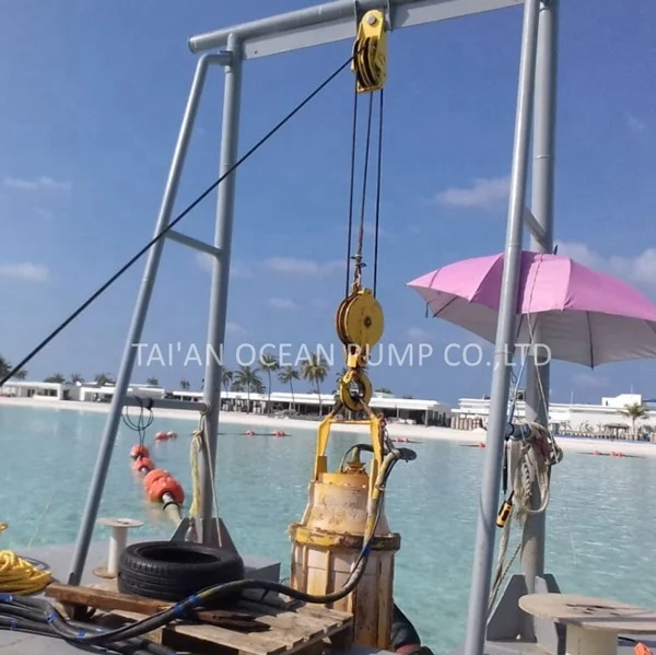 Seawater-Resistant 50 Hp Sewage Submersible Pump High Volume Price Sewage Crash Pump