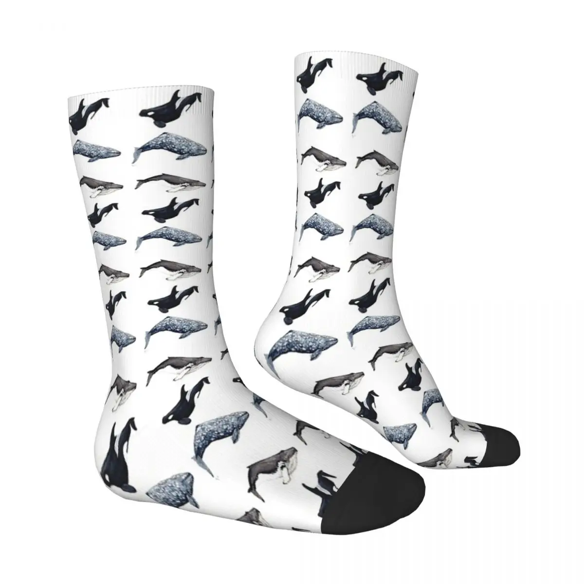 Humpback Orcinus Orca Whale Dolphin Socks Male Mens Women Summer Stockings Harajuku