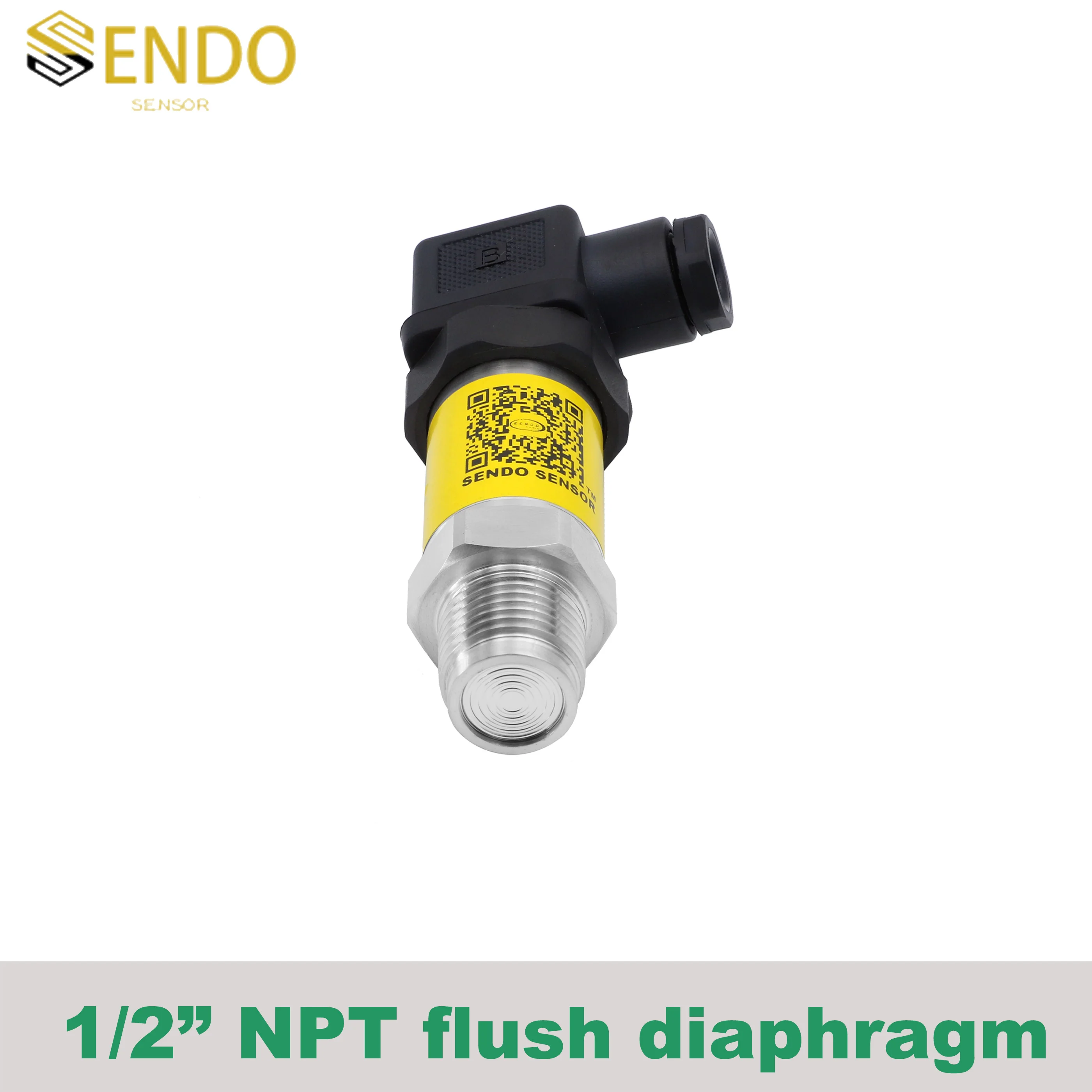 1bar 600 kpa 40 mpa gauge flush diaphragm pressure transmitter sensor 4 20mA 0.5 4.5V 0 5V 0 10V output M20x1.5 IP65 G1 2 NPT