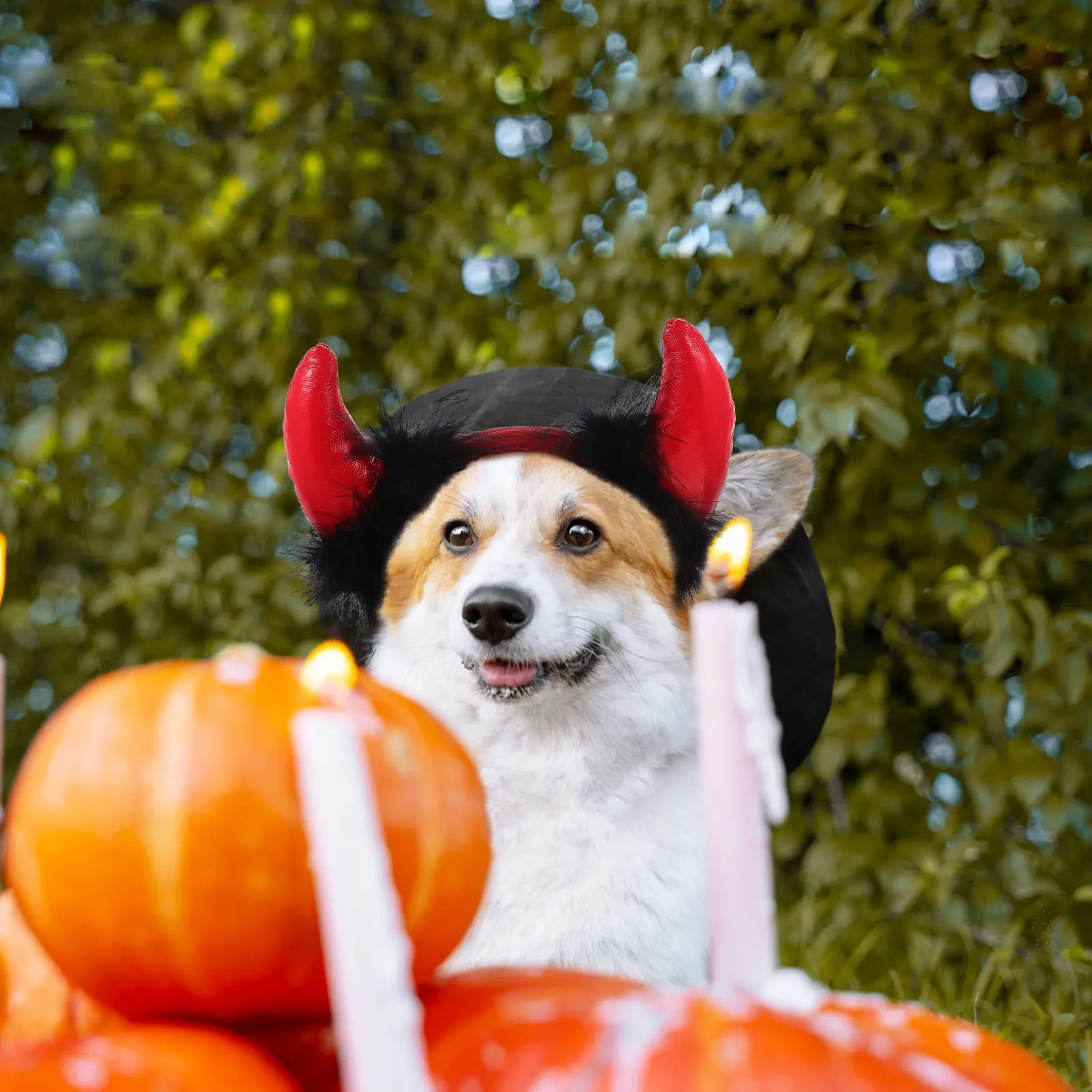 Pet Party Decor Decorative Dog Headband Stylish Comfortable Pet Head Ornament for Cats Dogs Party Photo Halloween Dog Spoof