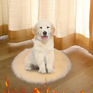 Pet Electric Blanket AliExpress