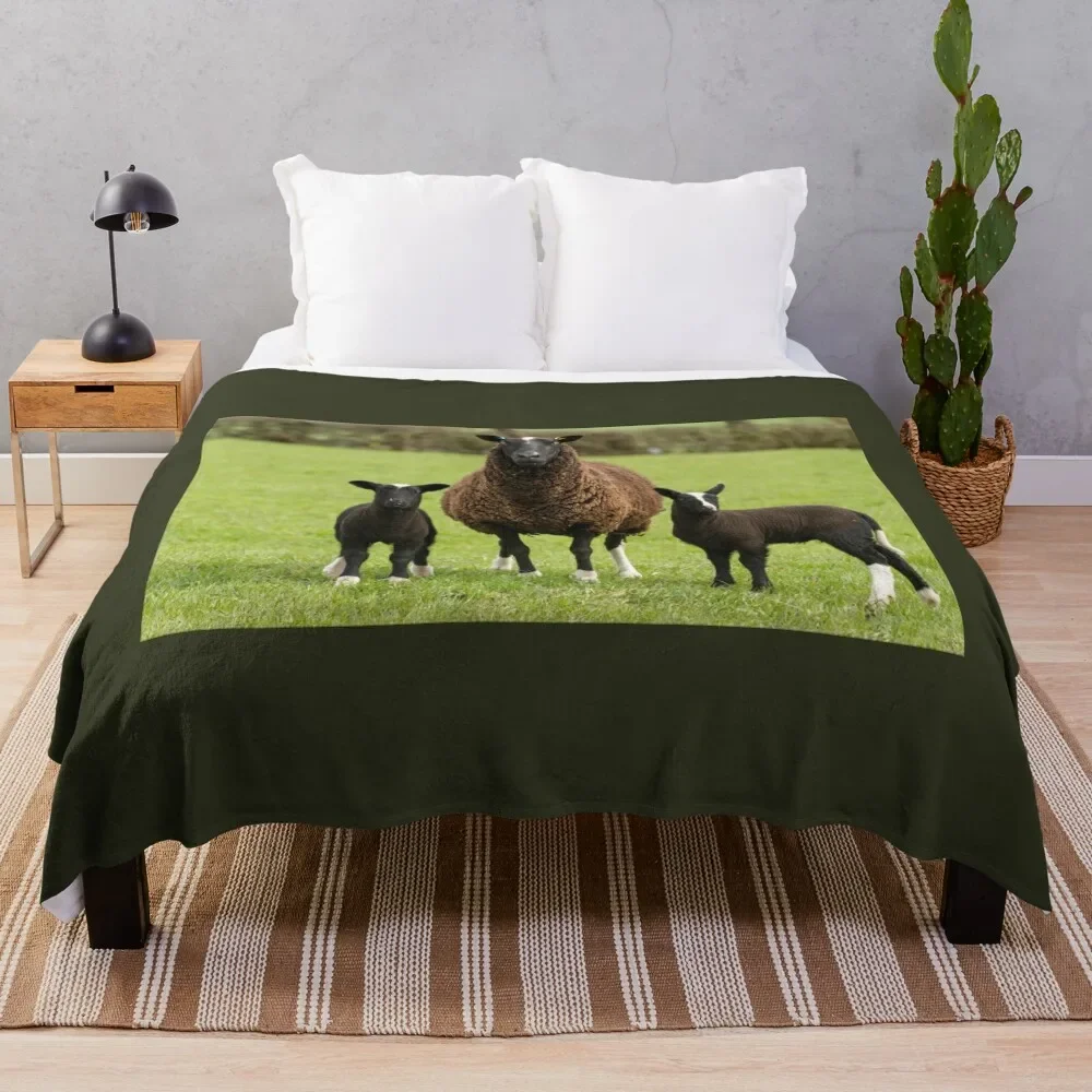 

Zwartbles Sheep and Lambs Throw Blanket Comforter Blankets For Baby Blankets