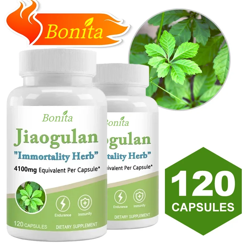 Jiaogulan 4100 Mg 120 Cápsulas Vegetarianas ( Y Sin Gluten) Jiaogulan - Resistencia Y Resistencia, Sistema Inmunológico