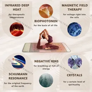 PEMF-Heizfarbfarbe infrontierte Farm, Fatonmassage, natürlicher Bio-Krist 9 Hauptverkaufsmagnetdecke für Massage - №4