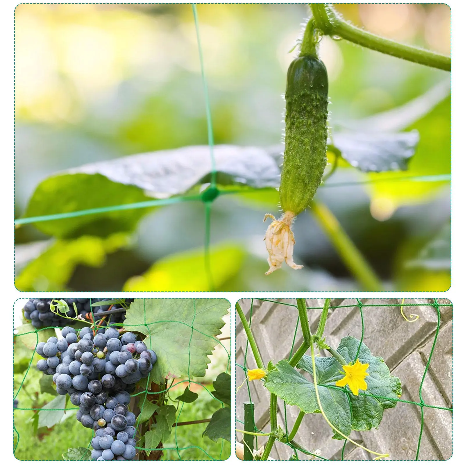 Garden Trellis Netting for Climbing Plants Heavy Duty Vine Vegetable Bean Cucumber Support Outdoor Reusable