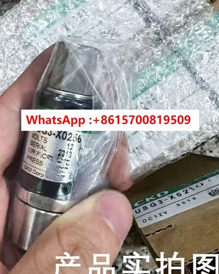 

Электромагнитный клапан USG3-X0256/USG2-T6-2-S1/USG2-M6-2-S1/USG2/USG3
