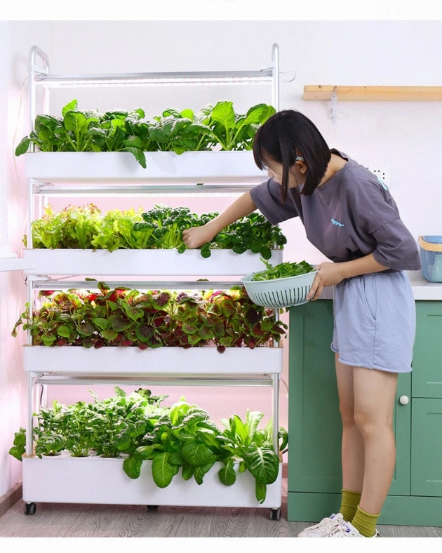 مستلزمات الزراعة تنمو الخضروات في الأواني حديقة المنزل التلقائي نظام الزراعة المائية العمودية كاملة للري Aquaponics #3