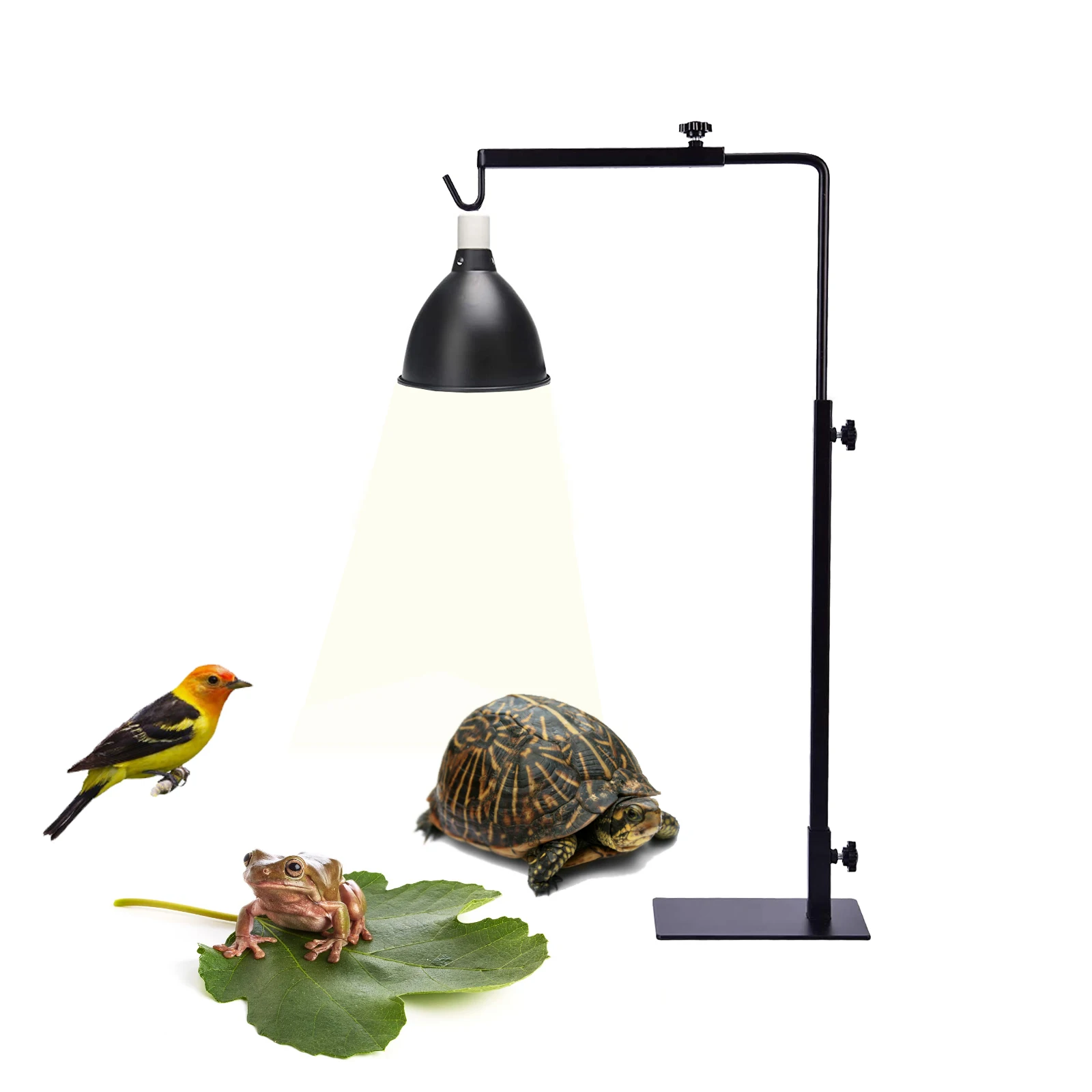 Thumbnail 2 - #3 Compare Reptile Heat Lamps Before You Buy