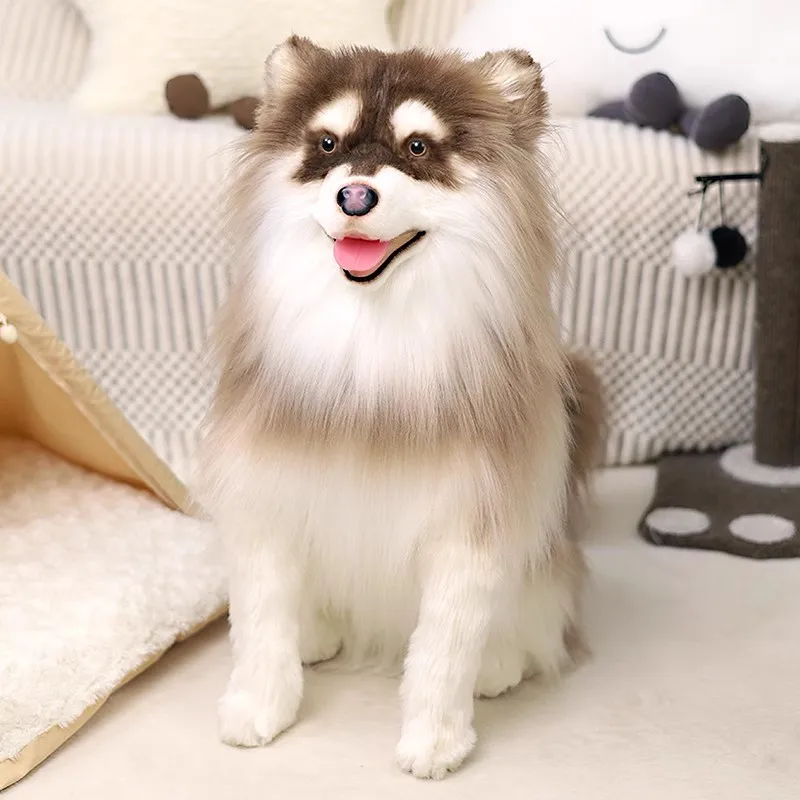 Simulational Animal Alaskan Dog Plush Doll Pet Dog Plush Toy Companion Premium Gift 50x38cm DY10406