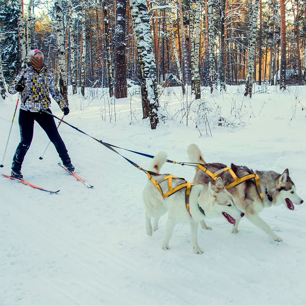 Imagem -04 - Arnês de Trenó para Cães Grandes Peso Pet Puxando Arnês de Trenó Mushing x Back Harness Husky Canicross Skijoring Scootering