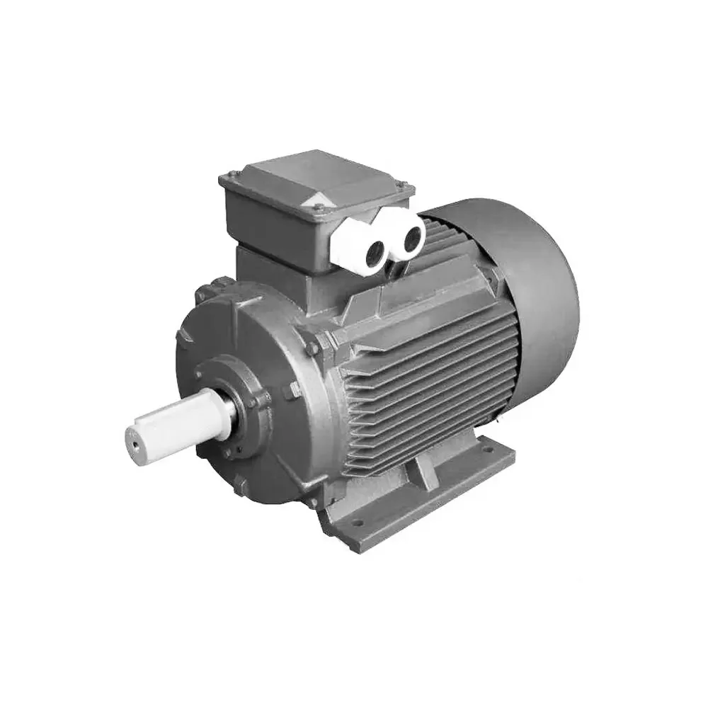 Brushless YE2-200L1-6 Ac Electric Motor with 18.5KW 25H3 Three Phase Induction Three Phase Asynchronous Motor