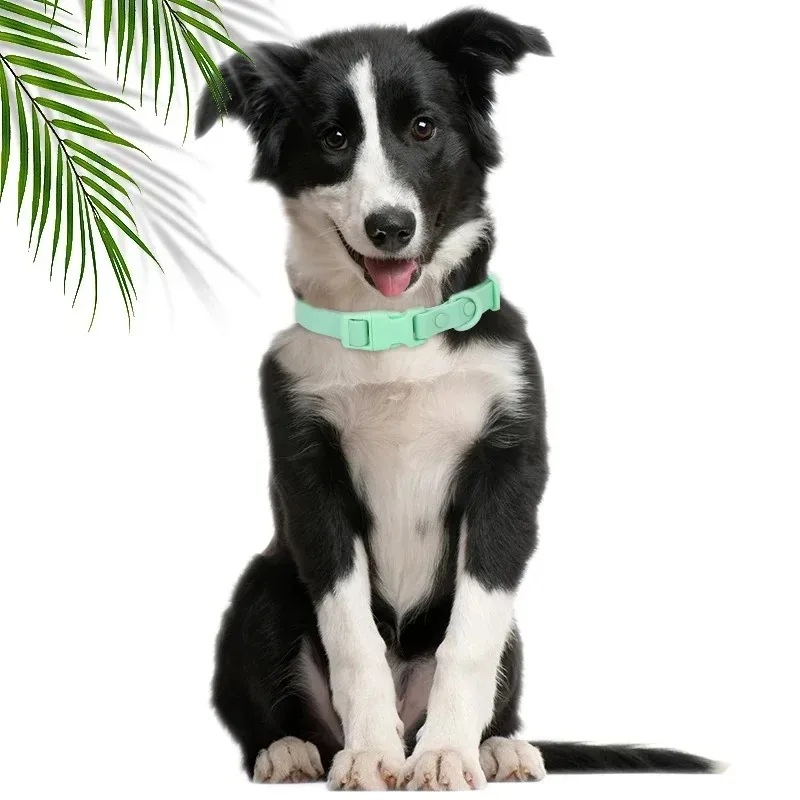 Neues Macaron-farbiges PVC-Hundehalsband, wasserdicht, schmutzabweisend, leicht zu reinigen, Haustierhalsband, verstellbares Halsband, Haustier-Hundehalsband – Detail 11