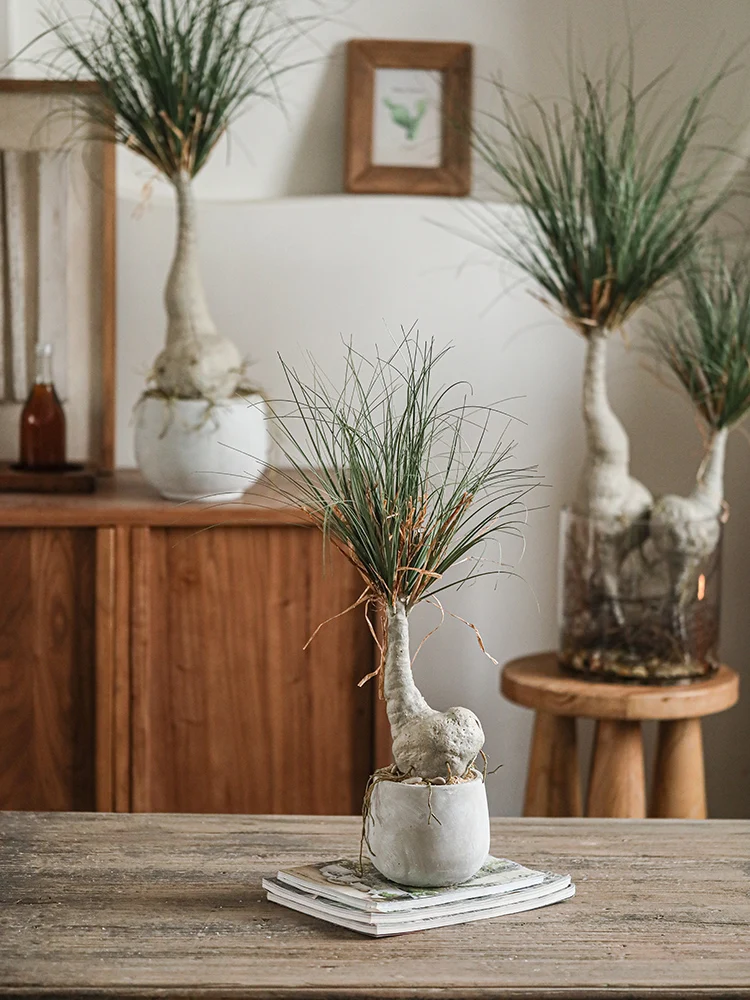 

Artificial Tree Pot, False Green Plant, Landscape Plants, Indoor Bonsai, Desktop Decoration