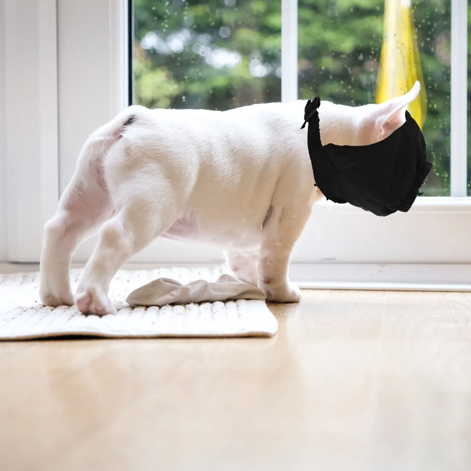 

1pc Pet Calming Mask Soft Breathable Dog Eye Patch Cat Blinder Decompression Blinder for Grooming Bathing Blackout Sleep Pet