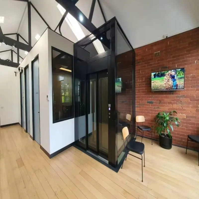 China Traditional Home Elevator AC Gearless Villa Lift High-Duty Steel Structure PVC Floor Duplex House Installation Home Lift
