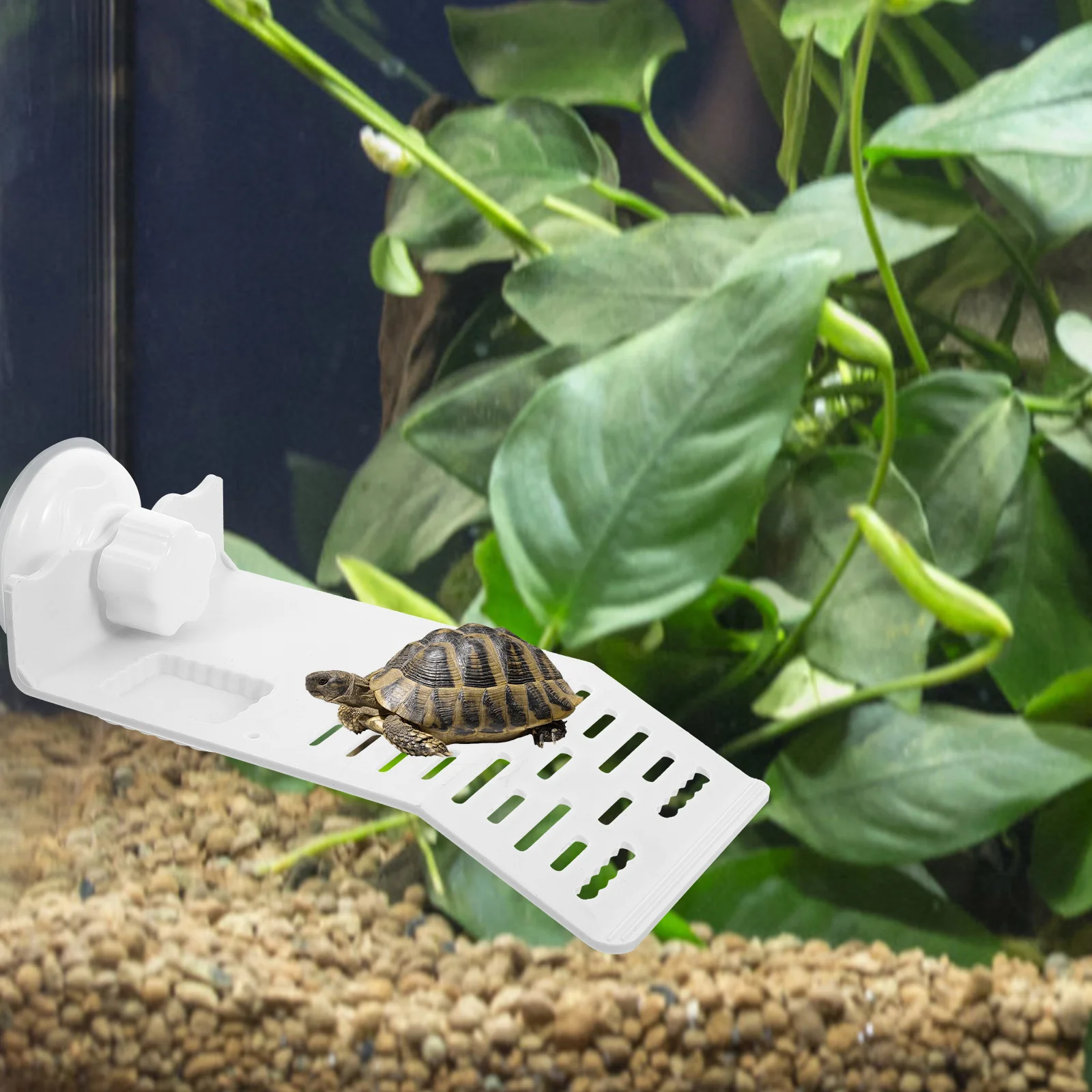 

Turtle Basking Platform White Small Size Pet Turtle Tank Decoration Plastic Terrarium Habitat Climbing Floating Resting