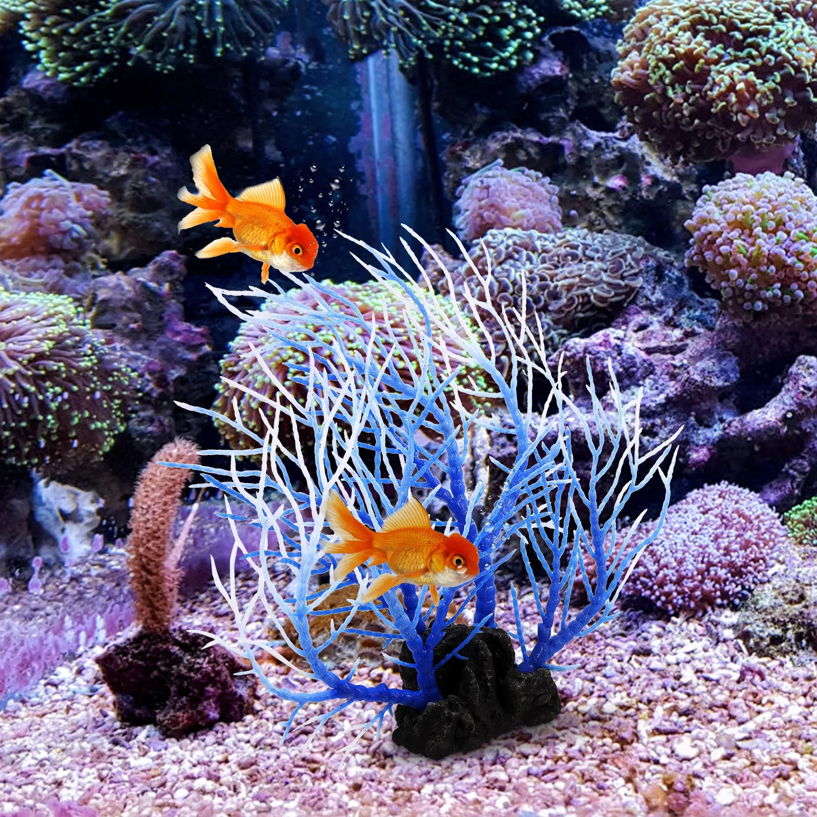 Dekorasi Tanaman Akuarium Poho - Non Planted Aquarium Fish ulasan dan harga