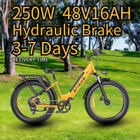 ENGWE E26ST E-Bike 250W Motor 48V 16AH Lithium Battery 26*4.0 Inch Fat Tire Electric Bike Max Speed 25km/h Snow Electric Bicycle