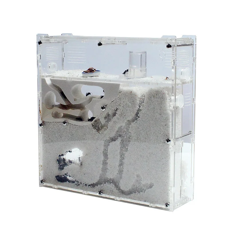 

Funny Ant Factory Ants House Castle Insects Terrarium Ant Cage Insects Box Nursery Ecological Kid Educational Tool S21