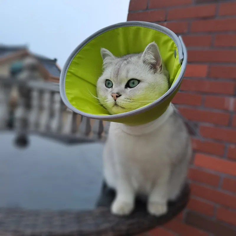 Cat anti-lick and bite neck ring, pet sterilization collar, dog postoperative wound care collar Default shipping L code