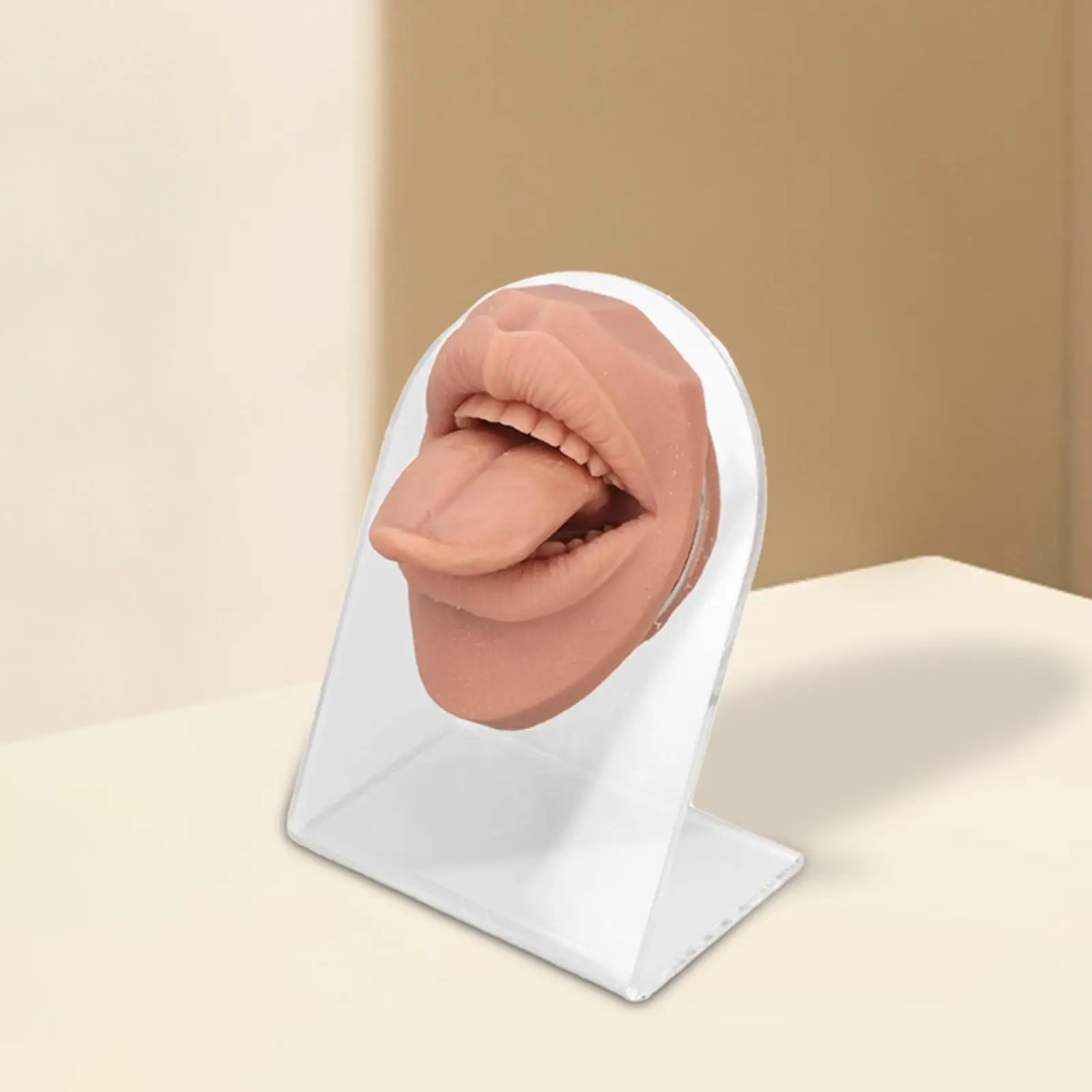 3D Silicone Tongue Mouth Model Simulation Tongue Mouth Display Model Flexible Soft for Teaching Tool Education Piercing Practice