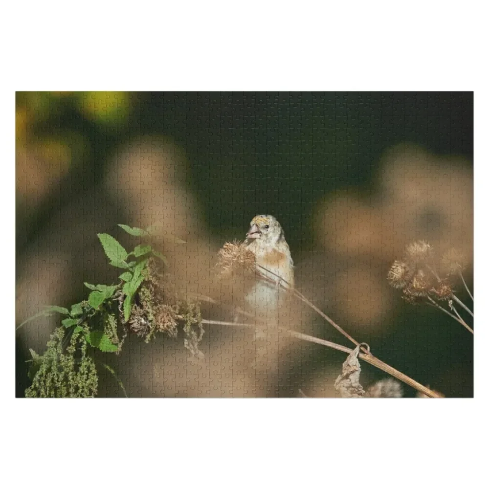 

The young one with the delicious Creeping Thistle. European goldfinch Jigsaw Puzzle Personalized Name Woods For Adults Puzzle