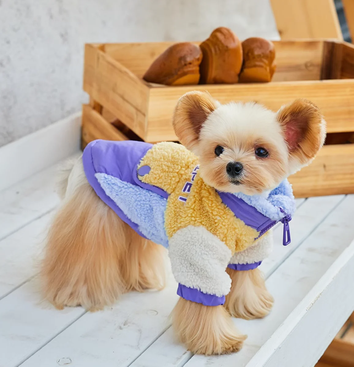 Warm Windproof Monochromatic Dog Coat, Cotton Designer Clothes for Large Dogs, Puppy Accessories, Winter