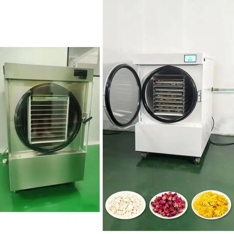 Fruit Cryogenic Freeze Dryer Vegetable/pet Food Freeze Dryer Machine for Home
