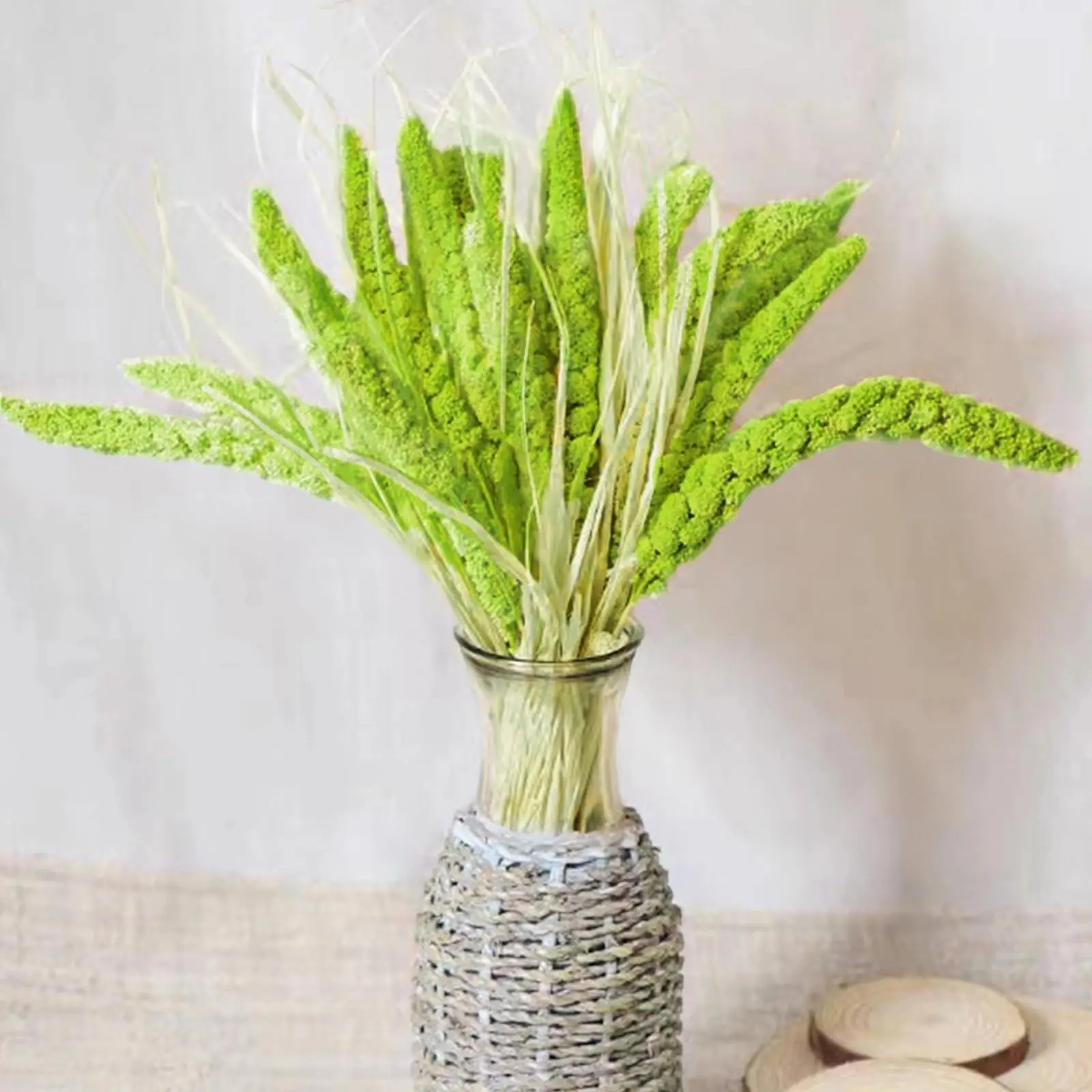 

10Pcs Dried Green Flowers Millet Real Plants,Natural Preserved Flowers for Home Decor,Floral Vase Arrangement,Wedding,DIY Crafts