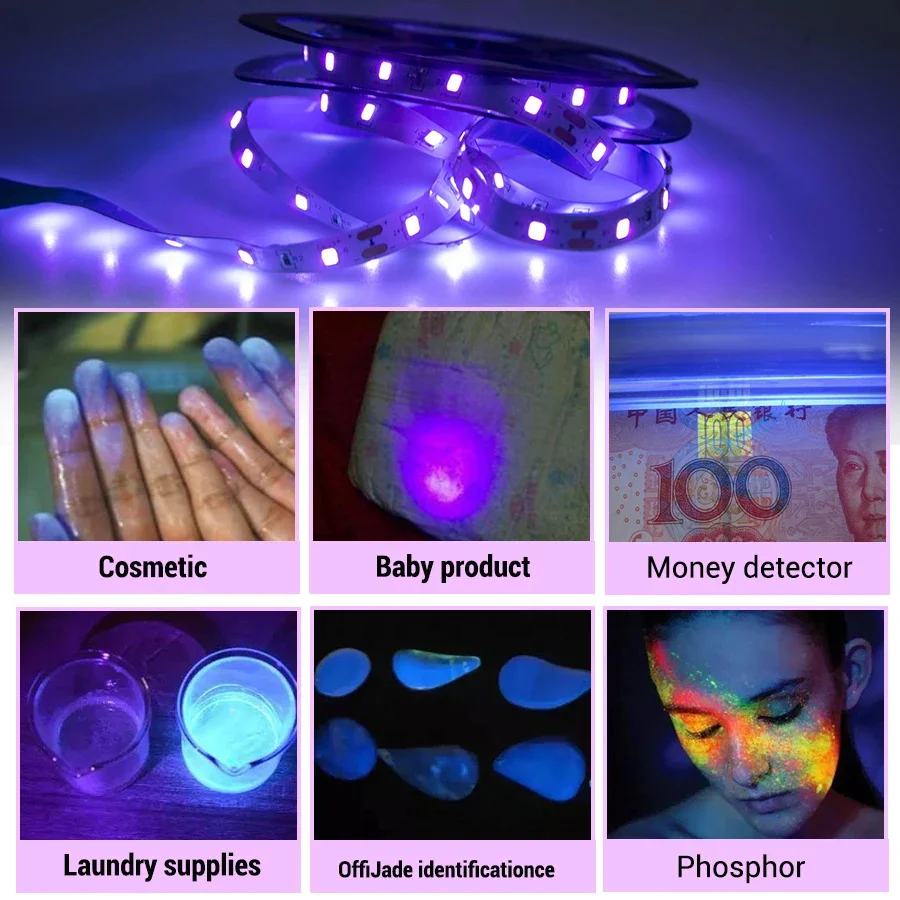 5M/10M UV LED Strip Light DC12V 2835 SMD Flexible LED Ribbon Ultraviolet Lamp 385-400nm Black Light for Glow Party Decoration