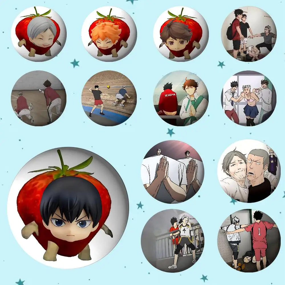 أمين H-Haikyuu شارات صفيح لينة زر دبوس بروش شارة معدنية مخصصة مجوهرات اكسسوارات قبعة حقيبة التلبيب