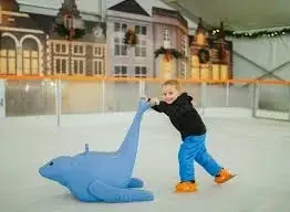 Skating Rink Equipm…