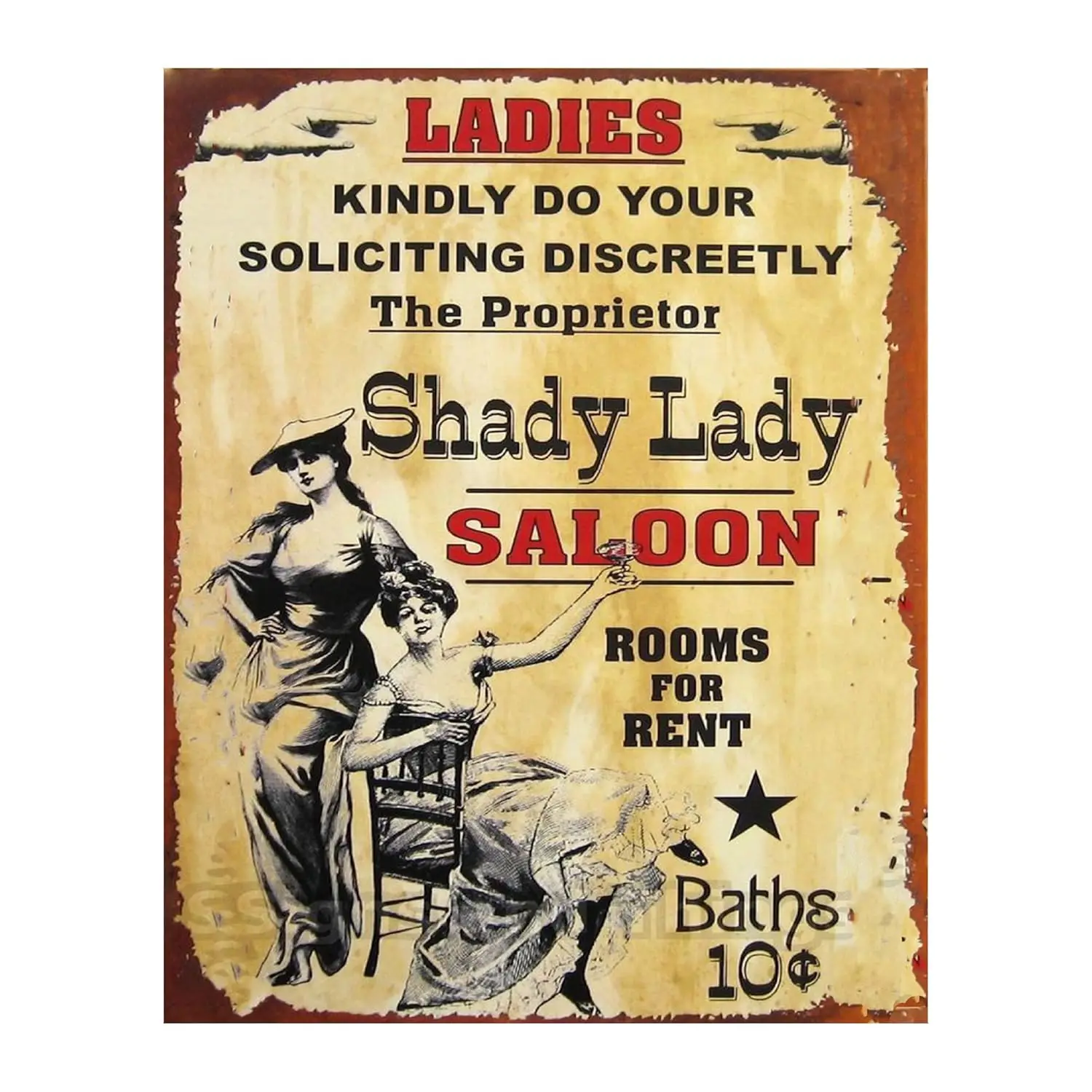 Shady Lady Saloon - Funny Vintage Wall Art, Distressed Sign Replica Wall Art Print, Ladies Solicit Discreetly Humorous Retro Dec
