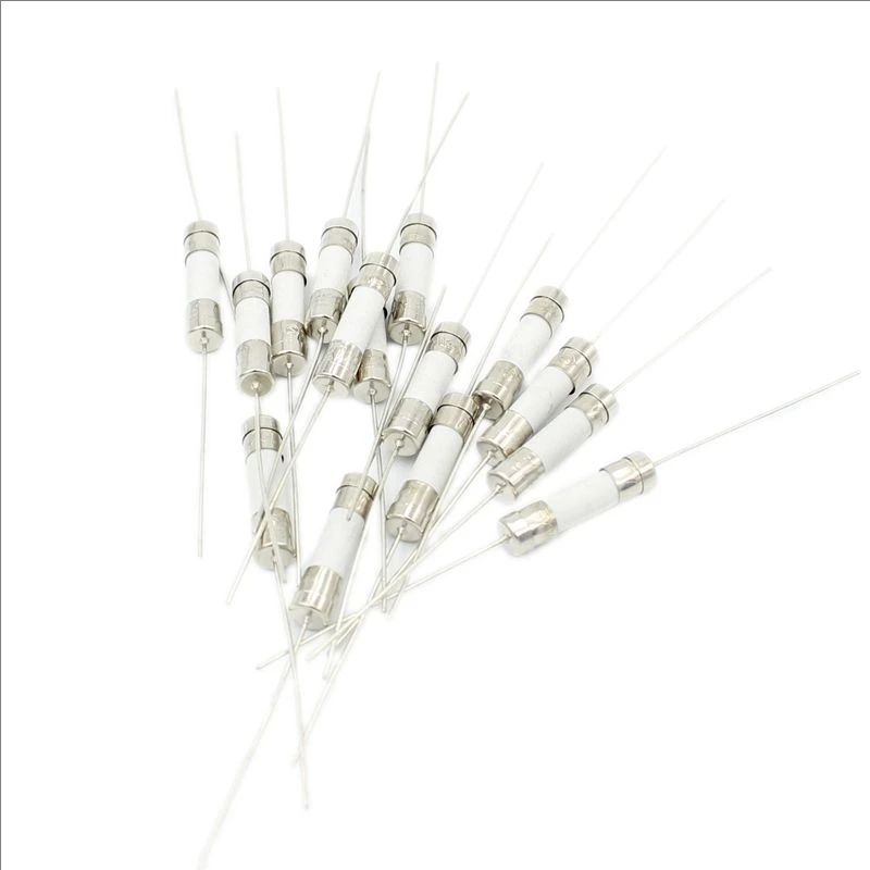 10Pcs Fast Break Ceramic Fuse With a pin 5X20MM 6x30mm 250V 0.5A 1A 2A 3.15A 4A 5A 6.3A 8A 10A 12A 15A 20A 25A 30A SUNJSD