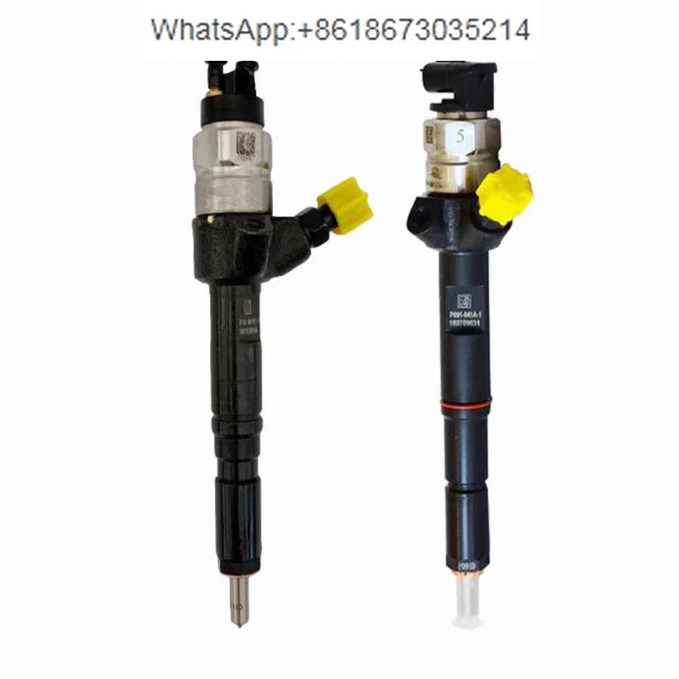 

Heavy fuel injector P091-000A/F/K/K1/CS1