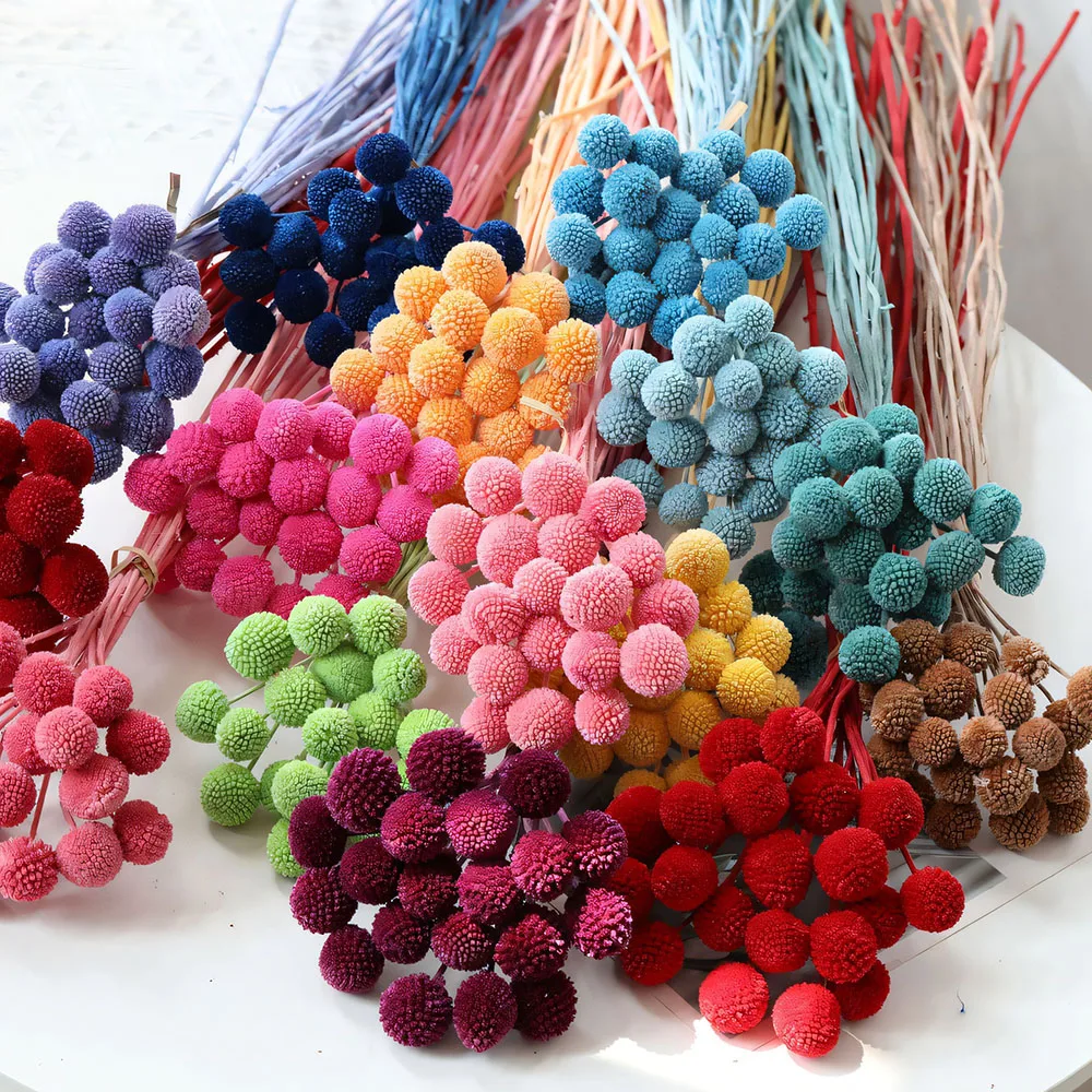 Natural Dried Flowe…