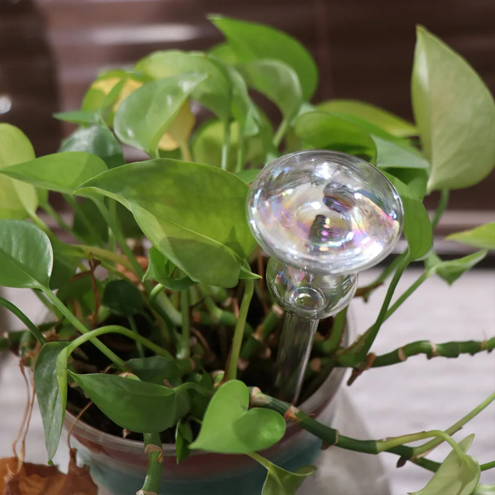 Mushroom Shape Plant Watering Glass Globes Self Watering Rainbow Mushroom Automatic Watering Device Glass