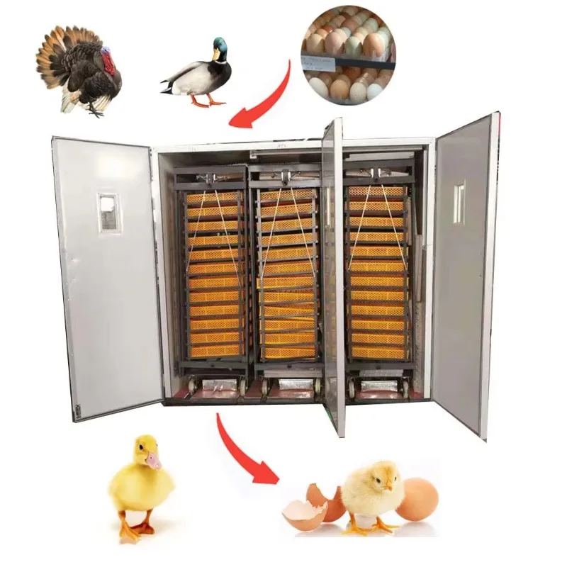 Three Trolleys Design 12672 Eggs 3 in 1 Incubators Hatcher Machine Customized for Quail Duck Goose Chicken Hatching