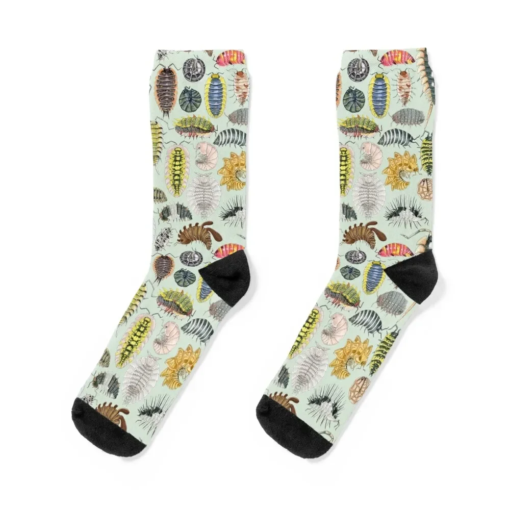 

Crazy Isopod Pattern- Aqua Socks floral designer brand Heating sock cotton Designer Man Socks Women's