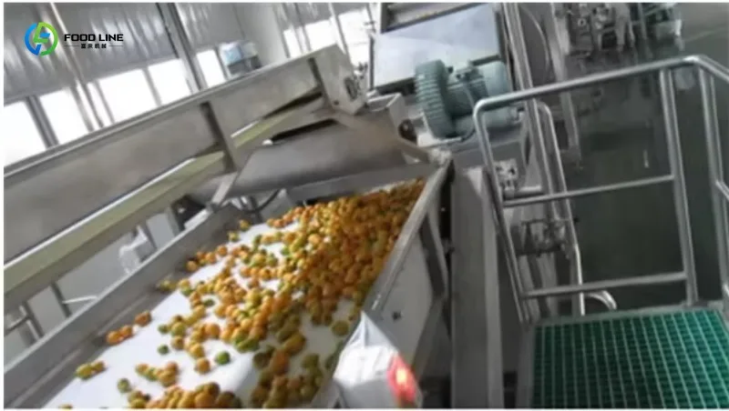 Customized Automatic Complete Fruit Juice Production Line New Condition Apple Juice Making Machine with Bottle Filling Machine