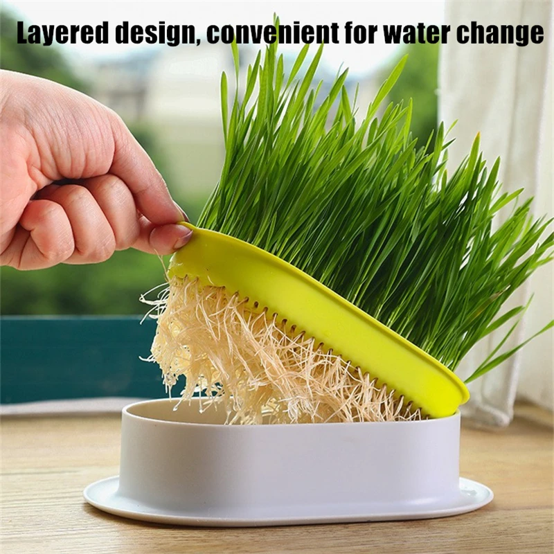 Pet Cat Grass Digestion Growing Tray Starter Dish Greenhouse Hydroponics Plant Cat Grass Germination Nursery Pot Grow Box