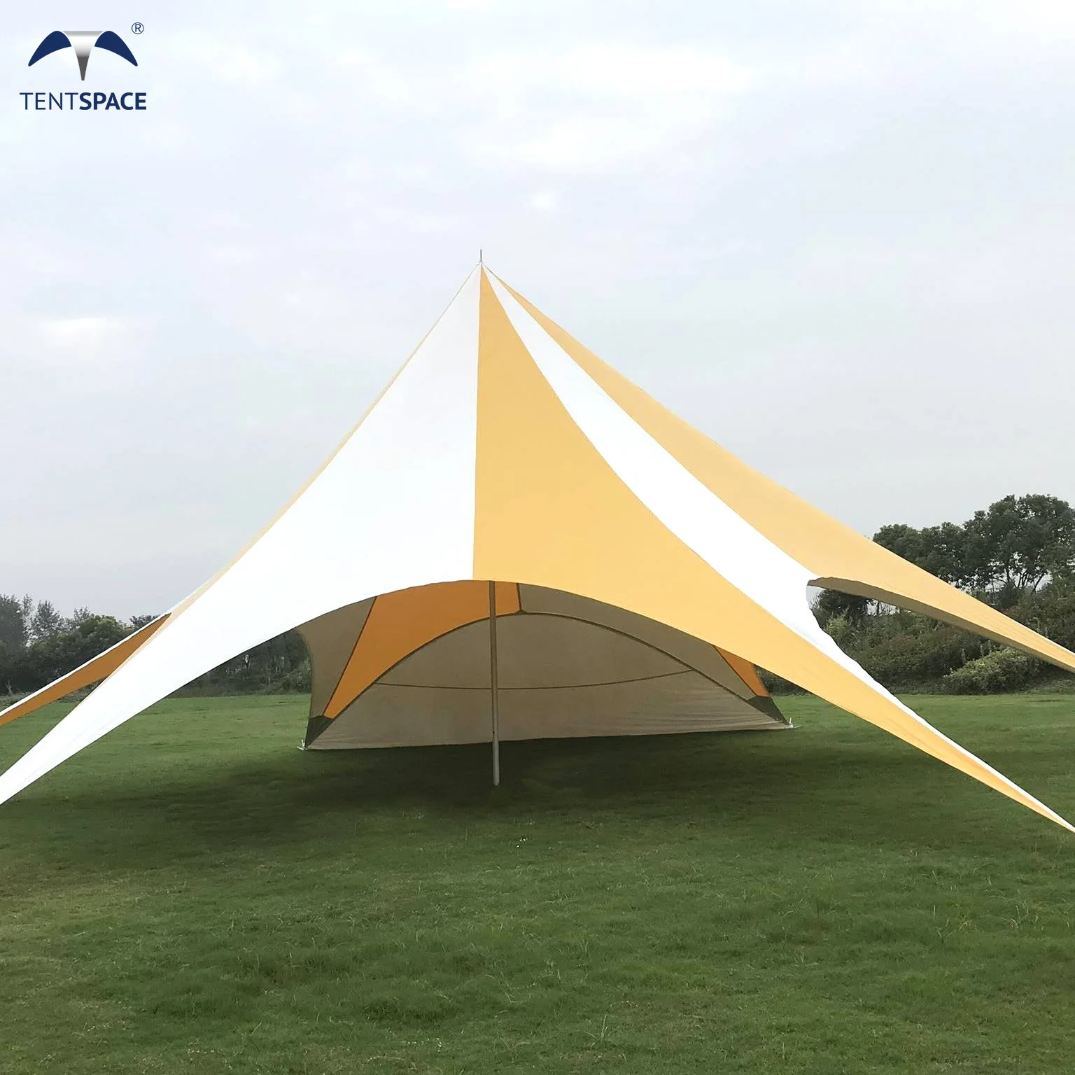 

12M Custom Logo Printed Large Star Shape Canopy Tent Wedding Marquee For Outdoor Party Celebration Events