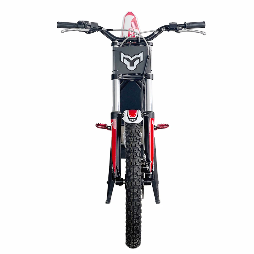 Arctic Leopard Electric Off-Road Bike Max Power 10kw Max Speed ​​90km/h Electric Climbing Motorcycle TRIAL e-Bike