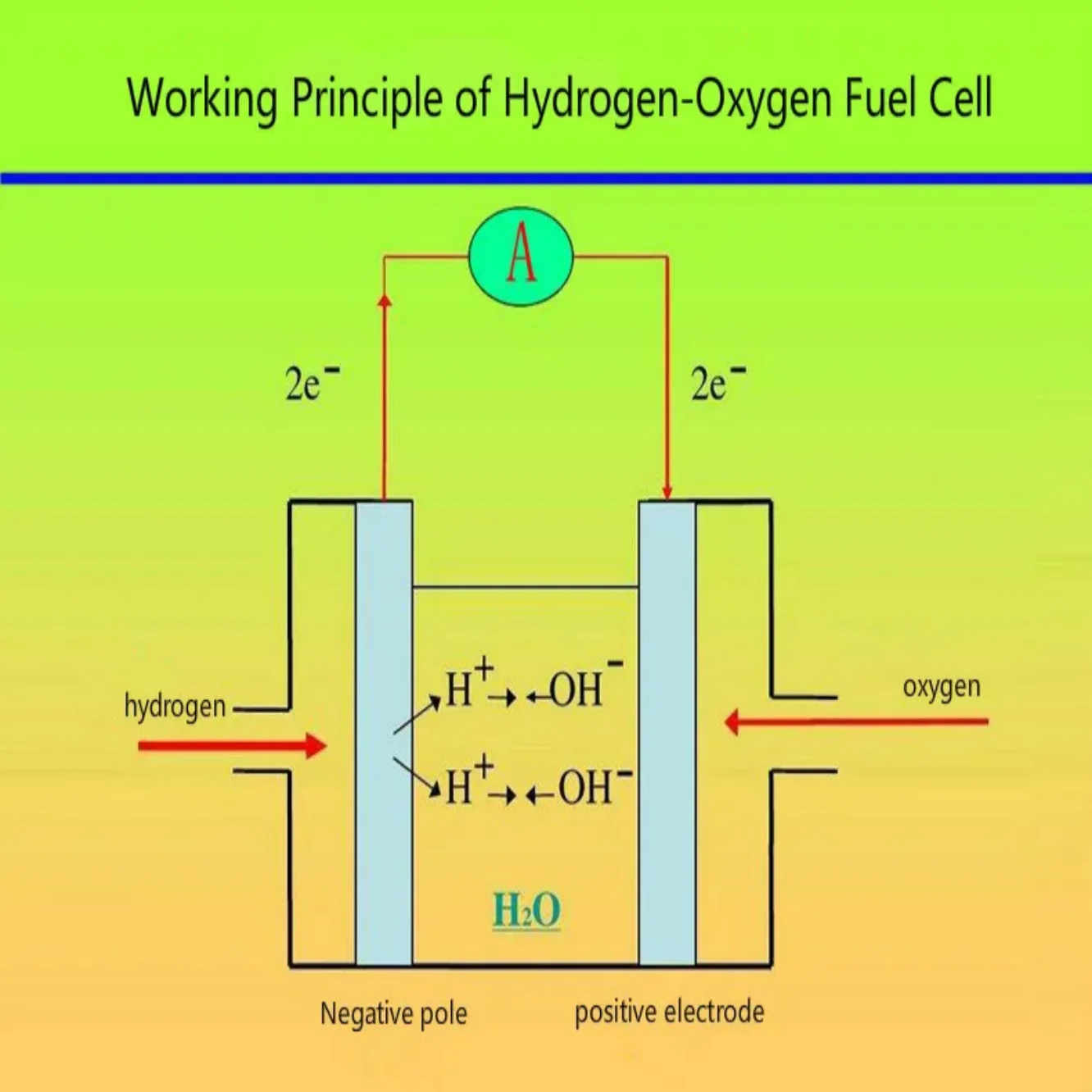 Proton membrane hydrogen fuel cell, teaching instrument.