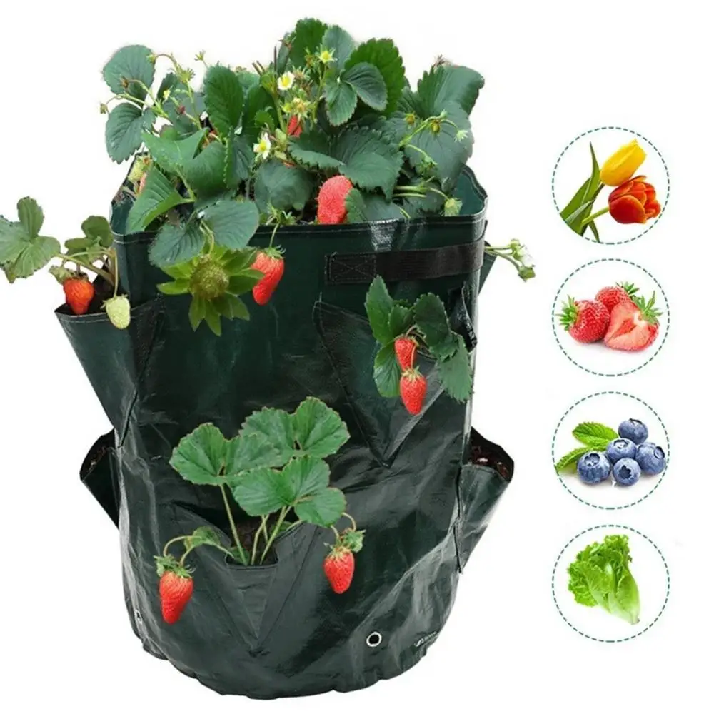 3 Gallons Multi-Mouth Grow Bag Strawberry Tomato Planting Bags Reusable Planter Pots Garden Vegetable Flower Herb Planter