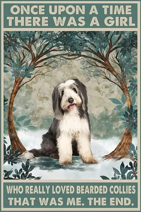 e1,Bearded Collie Once Upon A Time A Girl Really Loved Bearded Collie That was Me Poster Metal Sign Vintage Kitchen Signs Wall D