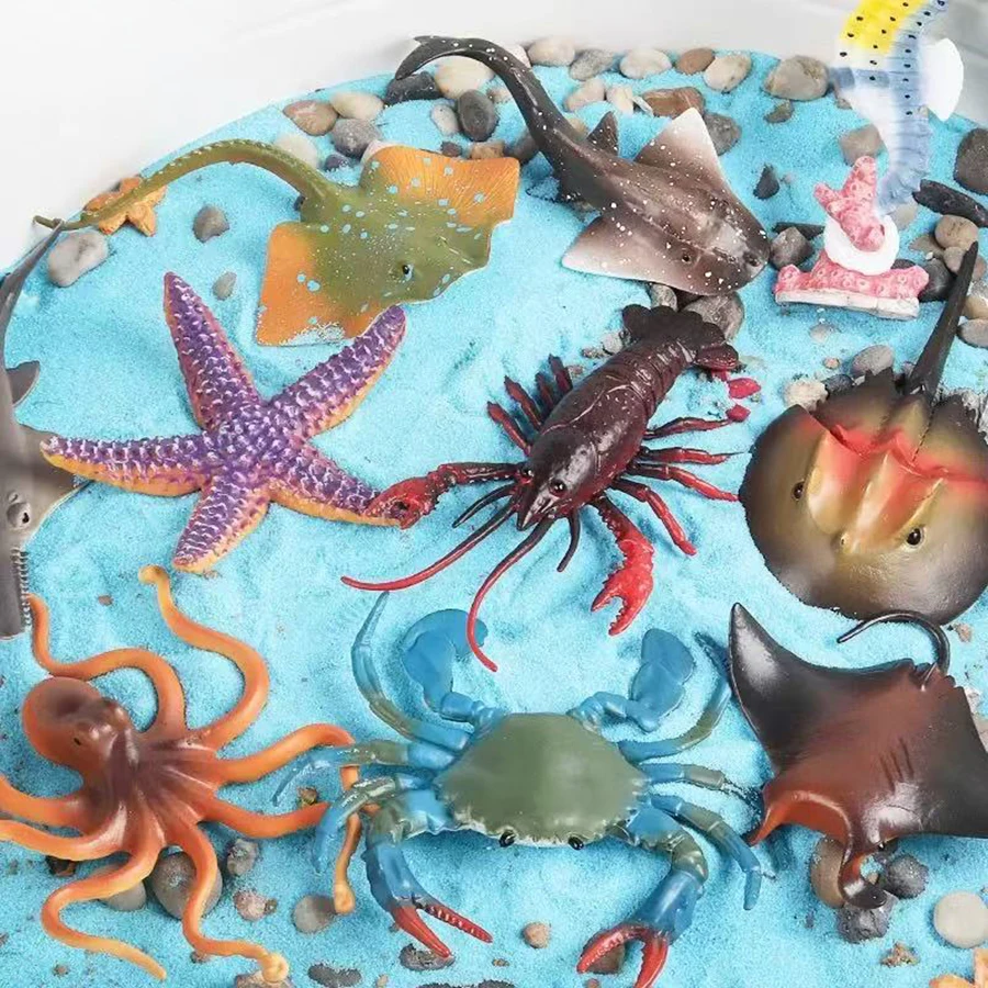 1PCS- Marine Molluscs Model Simulation Squid Octopus Growth Cycle Action Figure Sealife Animals Education Collection Kids Toy