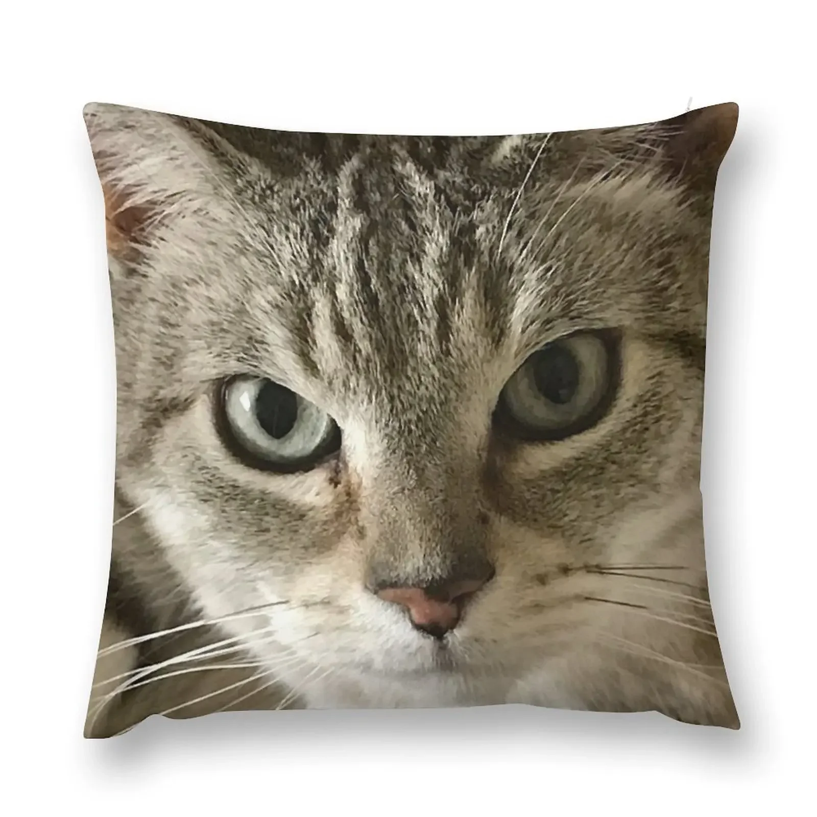 

Mulder HD Throw Pillow Sofa Covers anime girl Sofa Cushion Cover New year pillow