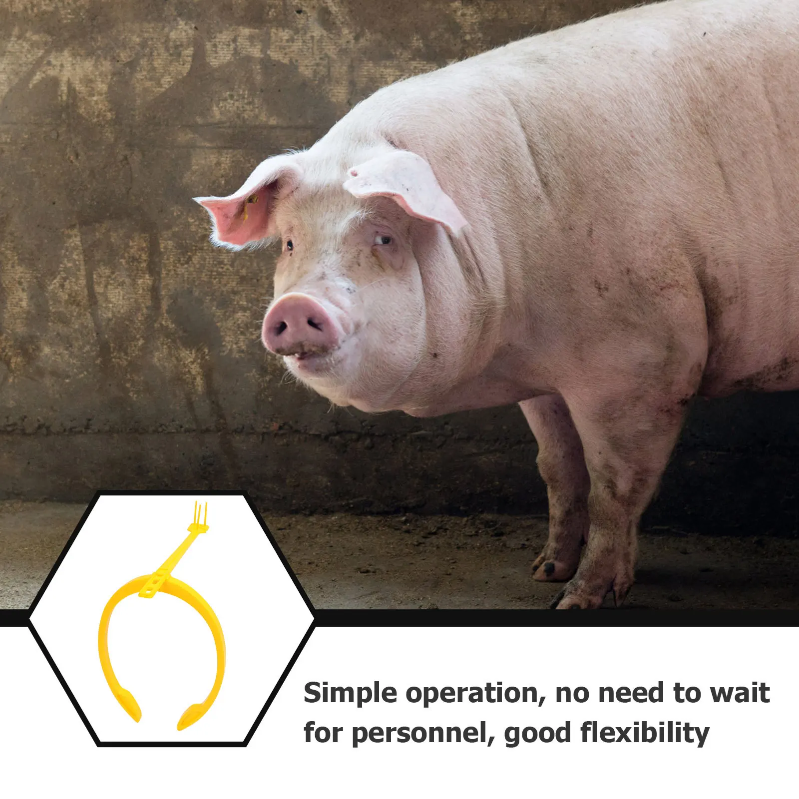 

Sow Bracket High Quality Plastic Automatic Fertilization Tool For Bottle Bag Holder Farm Equipment Feeding