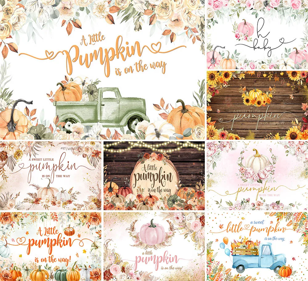 Mehofond A Little Pumpkin Is on The Way Photo Backdrop Newborn Oh Baby Shower Background Fall Boho Flowers Grass Decoration Prop